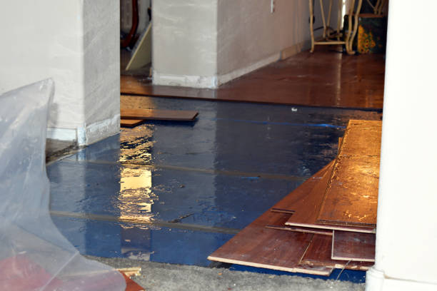 Professional Sewage Cleanup technician working in Banks, ID